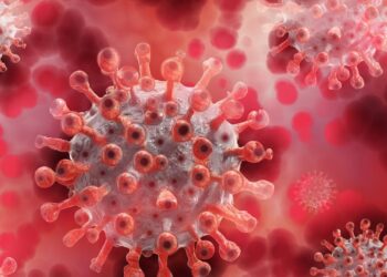 İngiltere’de yeni Maymun çiçeği varyantı: Komplo Teorileri ve Gerçekler