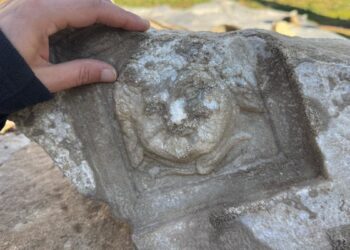 Bartın Medusa Buluntusu: Dünyada Heyecan Yarattı