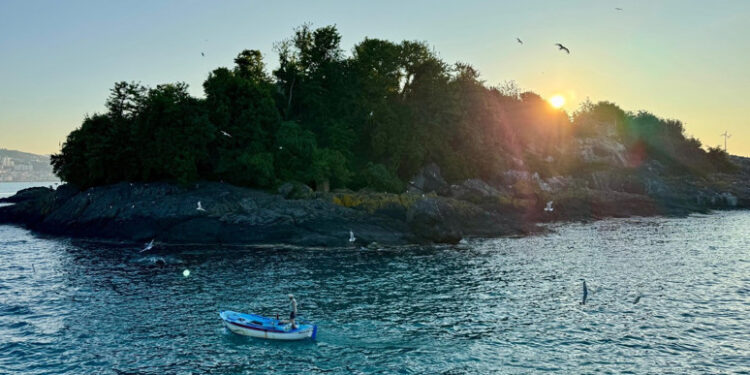 Giresun Adası Turizme Açılıyor Haberi Mitoloji Meraklılarını Heyecanlandırdı