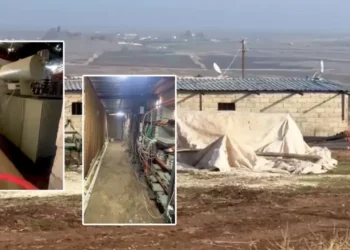 Ahırda Bitcoin Üretimi Yapan Şebeke Jandarmaya Yakalandı