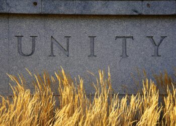 Taş duvara kazınmış 'Unity' yazısı ve önünde sarı otlar.