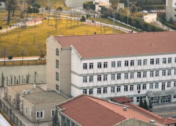 Ağaçlık alanın hemen önünde konumlanmış bir okul binası ve çatılar.